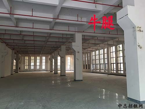 单层工业厂房是什么意思